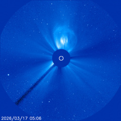 Images of the solar corona